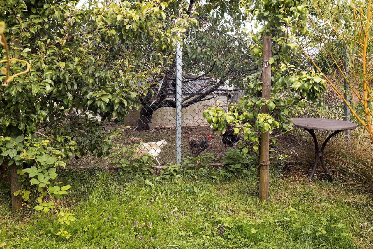 Zum Haselbach Apartment Weilheim Luaran gambar
